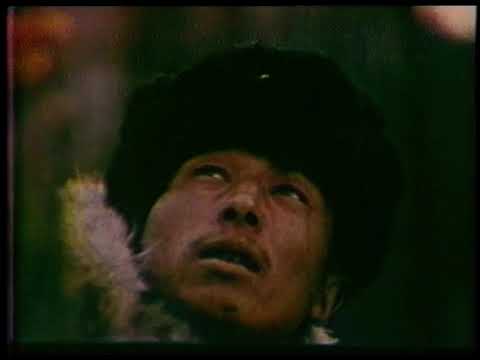 Видео: «Моя Тофалария»