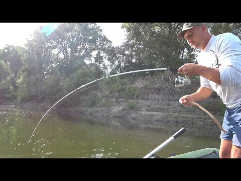 Видео: НЕРЕАЛЬНО МНОГО ПОКЛЕВОК. СОМ ОЖИЛ ПОД ВЕЧЕР