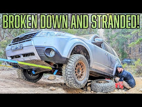 Видео: Внедорожный восстановительный Subaru Forester XT на сосновых плантациях и тропах BFG км3