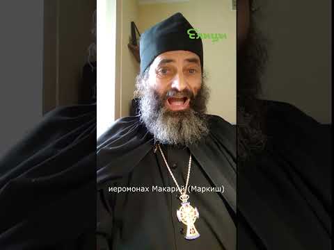 Видео: Почему сошел с ума философ Ницше иером Макарий Маркиш #shorts