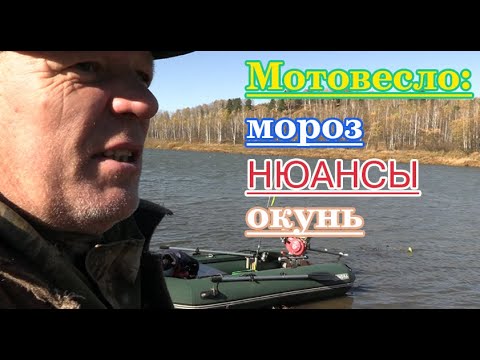 Видео: Мотовесло: мороз, нюансы, окунь.