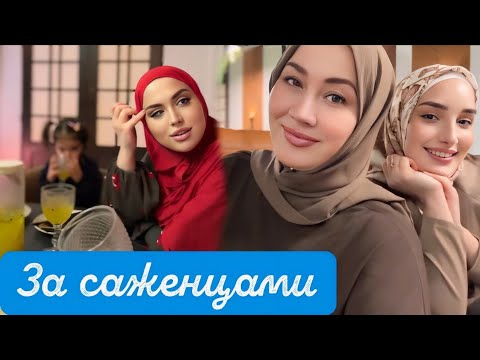 Видео: СЕГОДНЯ ОТМЕЧАЕМ🥳 ДР ТУРПАЛА В ТИХОМ СЕМЕЙНОМ КРУГУ🎁