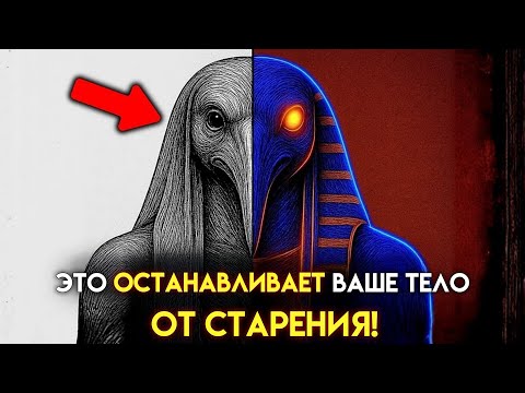 Видео: Эта СЕКРЕТНАЯ частота Тота НАПРАВЛЯЕТ ВРЕМЯ В ВАШЕМ ТЕЛЕ В ОБРАТНУЮ СТОРОНУ