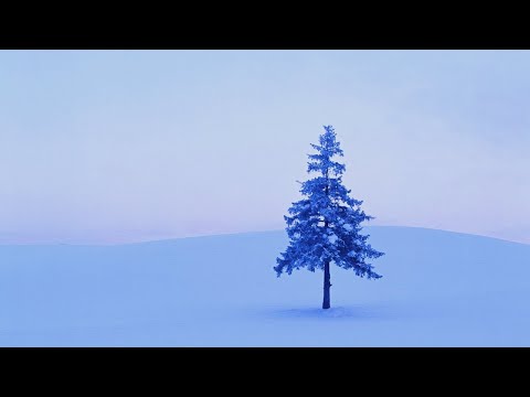 Видео: Тихонечко Живём в Тайге. Деревню Замело. Щуки, Окуни, Минимализм.