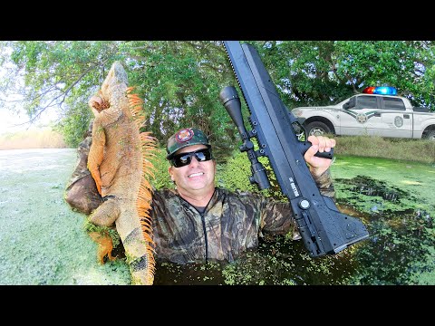 Видео: .357 Пневматическая винтовка IGUANA HUNTING (ПРИКАЗЫВАЕТСЯ ПОЛИЦИЯ !!)