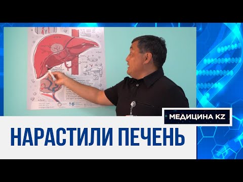 Видео: Казахстанские хирурги нарастили пациенту печень с помощью инновационных методов | Медицина KZ
