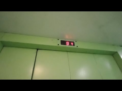 Видео: Старый лифт МЛМ 2005-2006 со звуковым сигналом🟢🟩! Лифт МогилёвЛифтМаш 2005-2006г/в 630кг 8чел V=1м/с