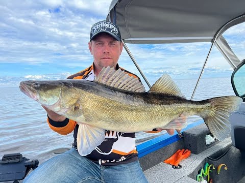 Видео: Рыбинское водохранилище - Рыбалка с гидом