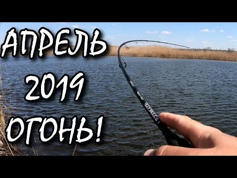 Видео: Весна пришла - Рыбалка ОГОНЬ!) Ловля злого хищника!
