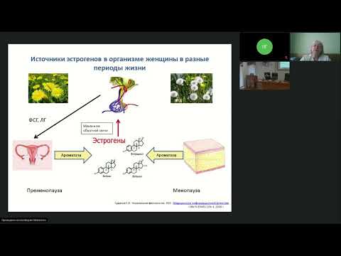 Видео: Лекарственное лечение рака молочной железы (вебинар 20 апреля 2022)