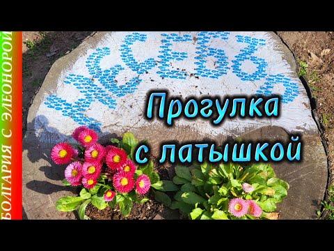 Видео: Думали на Кипр, но влюбились в Болгарию | Встреча с соотечественницей