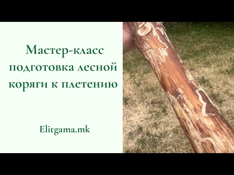 Видео: Мастер-класс. Подготовка лесной коряги для макраме