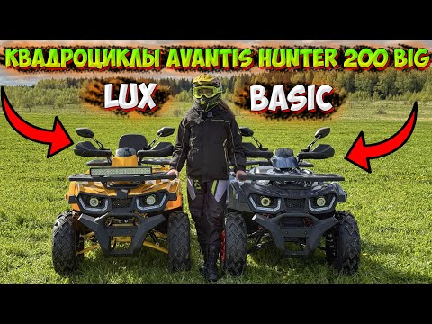 Видео: МАЛЕНЬКИЕ, ДА УДАЛЕНЬКИЕ!? КВАДРОЦИКЛЫ AVANTIS HUNTER 200 BIG ВЕРСИЯ BASIC И LUX!