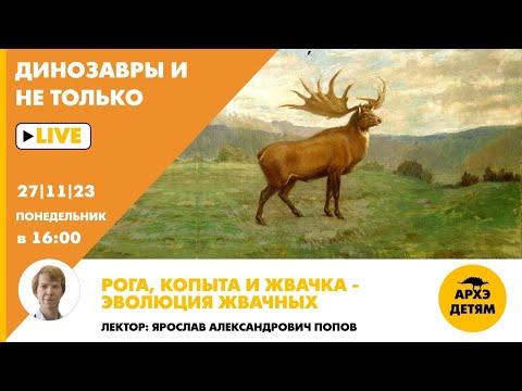 Видео: Занятие "Рога, копыта и жвачка — эволюция жвачных" кружка Динозавры и не только с Ярославом Поповым