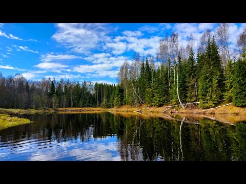 Видео: Сплав по Капше с двумя ночёвками. Весна 2025.