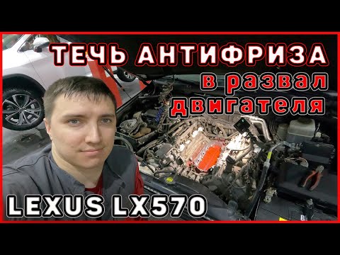 Видео: Течь антифриза в развал двигателя Lexus lx570