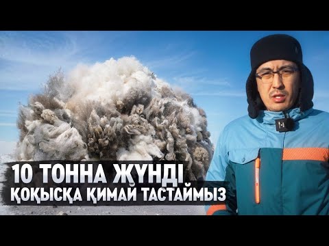 Видео: БІЗДЕ 2000 ҚОЙ БАР. ЖЫЛЫНА 10 ТОННА ЖҮН МУСОР БОЛЫП ҚАЛАДЫ. ҚОЙДЫ ҚАЛАЙ КҮТЕМІЗ?