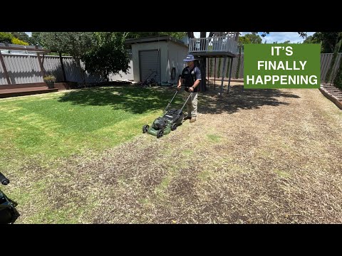 Видео: ПОЛНАЯ РЕМОНТ ГАЗОНА В БУФФАЛО НА МОЕМ ЗАДНЕМ ДВОРЕ. Прошло более 5 лет с тех пор, как это было с...