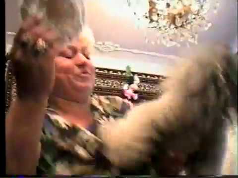 Видео: Цыганская свадьба 114 подпишись для просмотра прямой трансляции свадеб