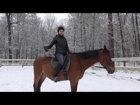 Видео: Как ездить строевой рысью без стремян. За счет чего мы встаем на строевой рыси.