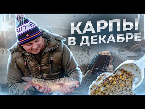 Видео: КАРПЫ В ДЕКАБРЕ . ЛОВЛЯ НА БОЙЛЫ!! ДЕКАБРЬ МЕСЯЦ,  ЗИМНИЙ КАРПФИШИНГ...