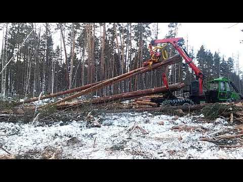 Видео: Валочно-трелёвочно-погрузочная машина