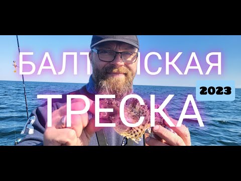 Видео: Треска и не только...   12 05 2023