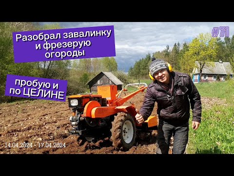 Видео: Разобрал завалинку и фрезерую огороды. Пробую и по ЦЕЛИНЕ.