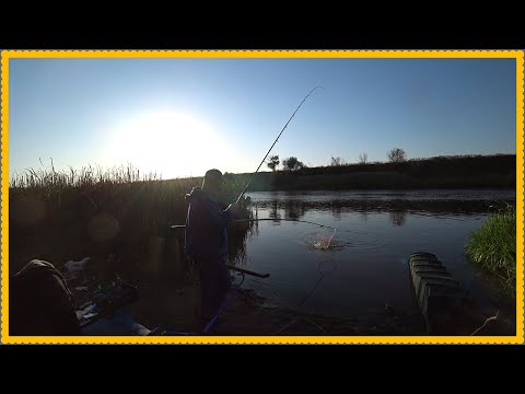 Видео: Рыбалка на Дону, закрыл Сезон с Ночёвкой, неподъёмные рыбы