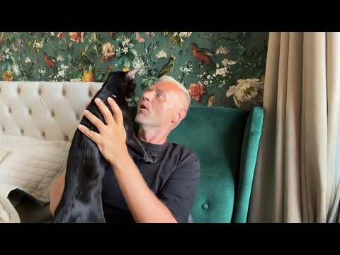 Видео: Купил ещё одного кота. Новый грузинский ресторан в Риге. Хочу переехать опять в центр. 