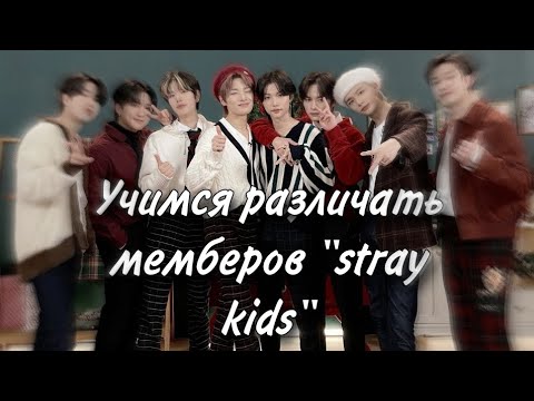 Видео: Учим участников группы "stray kids" как различать их/учим имена