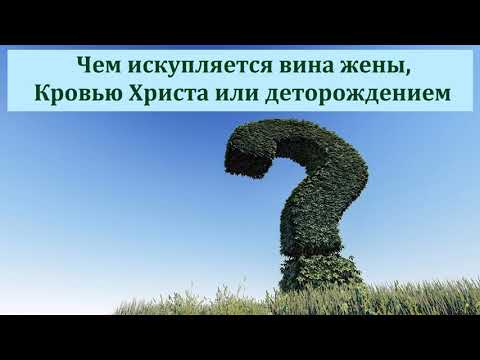 Видео: Ответы на разные вопросы. Н. С. Антонюк. МСЦ ЕХБ
