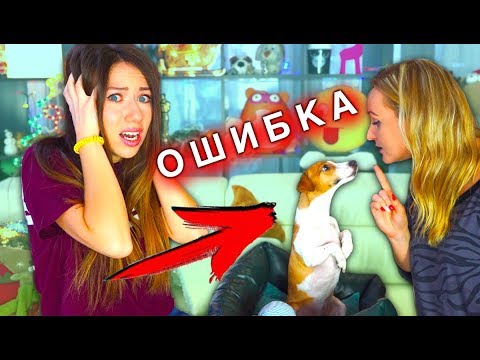Видео: 5 Ошибок Каждого Хозяина Дрессировка Собак С чего начать | Elli Di Pets