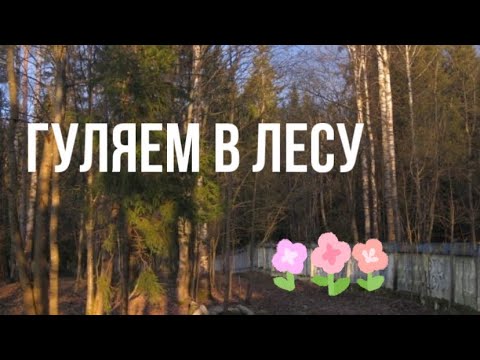 Видео: гуляем по лесу и заброшке со светой!