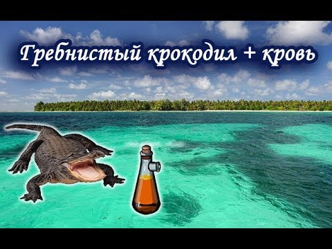 Видео: Гребнистый крокодил с кровью.  Русская Рыбалка.