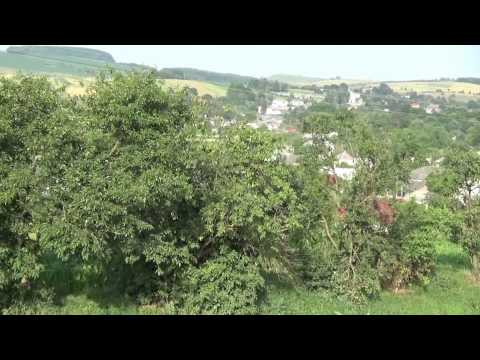 Видео: Подорож селом Конюшки