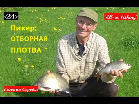 Видео: 24. Пикер и отборная плотва. "All-in Fishing". Вып. 24.