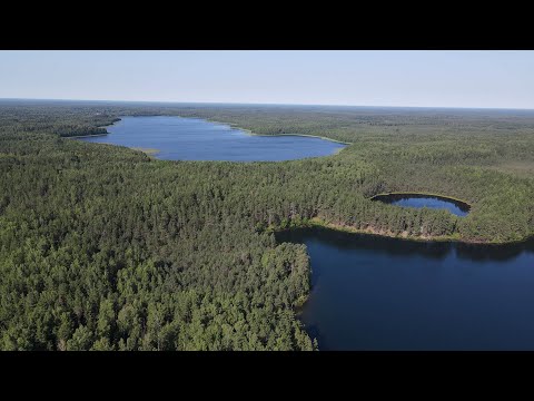 Видео: Полоцкий край, пеший туризм по Беларуси l Polotsk region, wild nature travel in Belarus