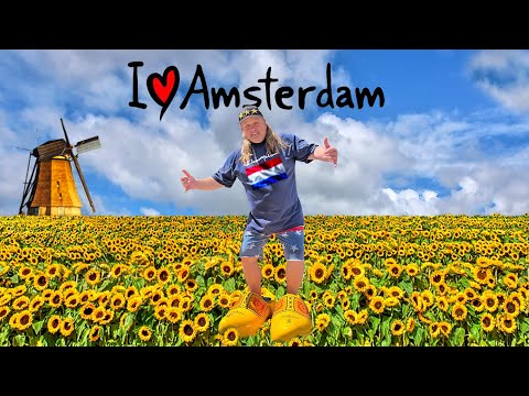 Видео: Полная экскурсия по Амстердаму: блошиный рынок, прогулка на лодке, велосипедная прогулка, арт-ква...