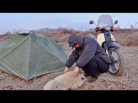 Видео: Мотоцикл кемпинг один на замороженном берегу реки (Рыбалка и Кулинария)
