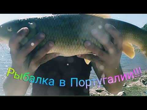 Видео: Рыбалка в Португалии!!!