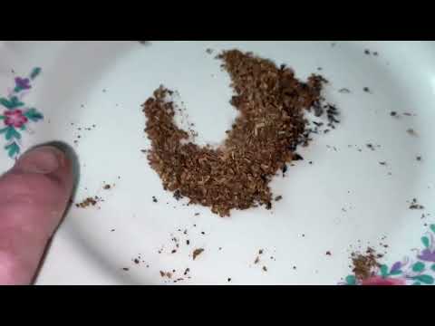 Видео: Переработка Табака (осень)