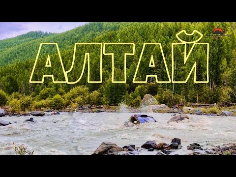 Видео: Алтай 2024 на квадроциклах и багги