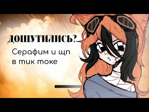 Видео: ЩИТПОСТЕРЫ В ТИК ТОКЕ СХОДЯТ С УМА | обзор на Серафима