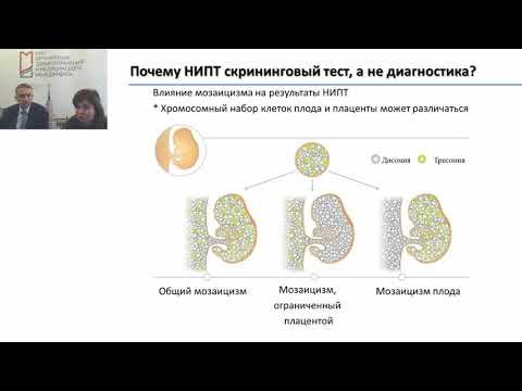Видео: Неинвазивный пренатальный тест (НИПТ) технологические особенности. Баранова Елена Евгеньевна