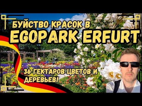 Видео: Буйство красок в Egopark Erfurt. Такого вы еще не видели.