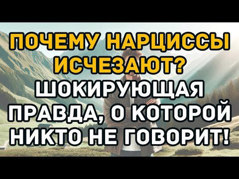 Видео: Почему нарциссы исчезают  Шокирующая правда, о которой никто не говорит!