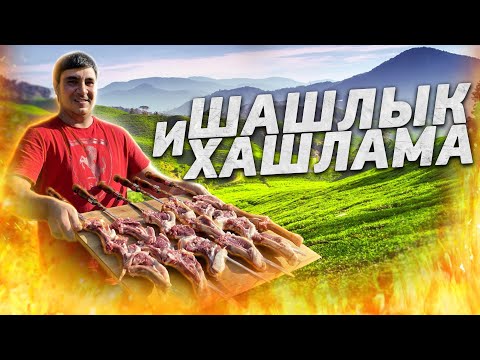 Видео: ШАШЛЫК и ХАШЛАМА. ОТДЫХ в АЗИАТСКОМ. #youtube #кавказ