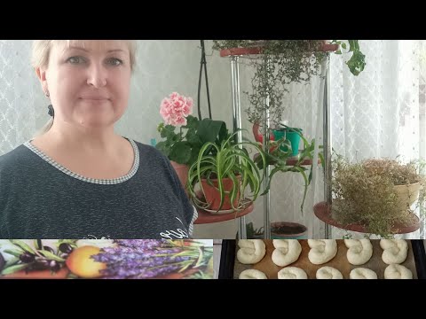 Видео: 10 марта/ Тесто на ШАНЬГИ и БУЛОЧКИ/ в магазин/чем подкормила ПЕЛАРГОНИИ