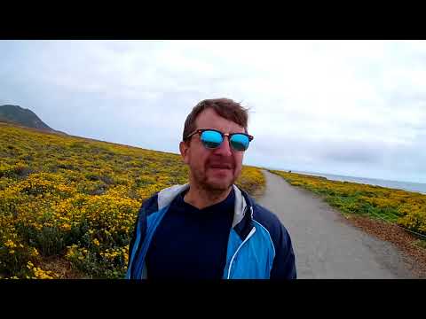 Видео: Ошибки начинающих аранжировщиков и продюсеров. Часть 1. Репортаж из бухты Морро Бэй